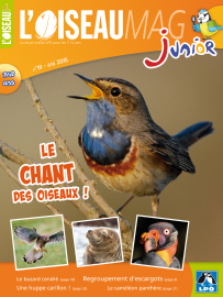 Couverture de l'OISEAU MAG JUNIOR n°19